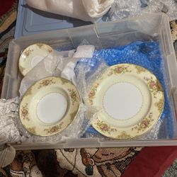 28 Pieces Noritake Porcelain Rose China 