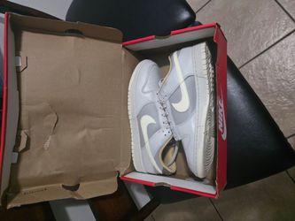 Nike dunks ice Grey