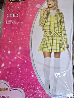 Clueless Costume