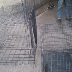 LG Dog Kennel