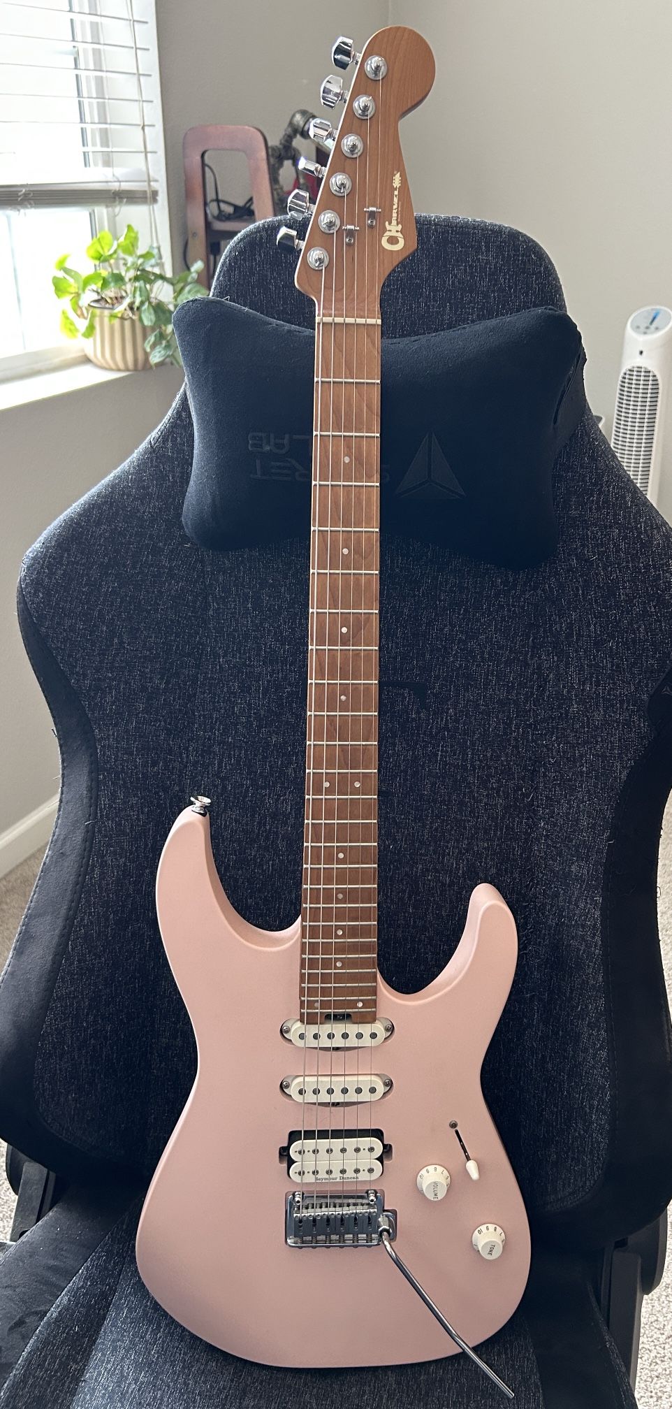 Charvel DK24 HSS Shell Pink