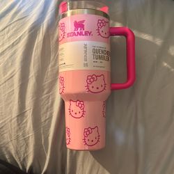 Pink Hello Kitty 40oz Stanley Cup 