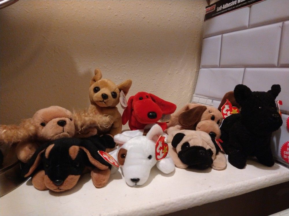Blind Box Of Beanies (Ty Beanie Babies)