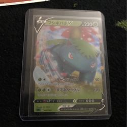 Venasaur V 001/021