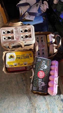 Free Egg boxes