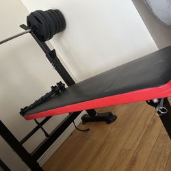 Workout Bench And Some Weights