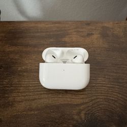Apple AirPods Pro 2 OEM C Port 