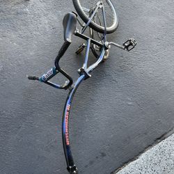 Tag Along Bike