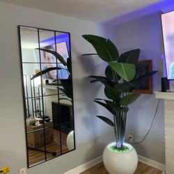 Free Delivery! Brand New 70”x26" Rectangular HD view, Shatter Proof, Aluminum Frame Standing Floor Mirror