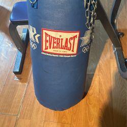 Everlast Boxing Bag  25LB