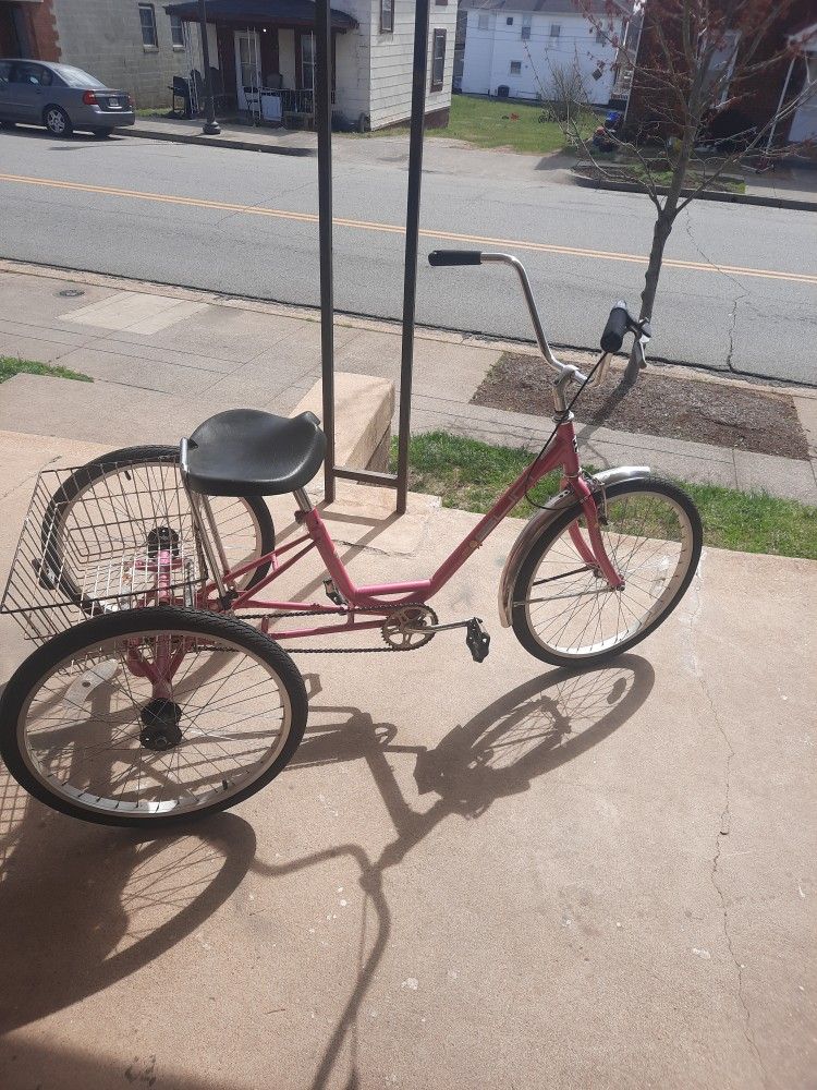 Adult tricycle
