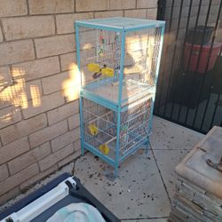 Dual Section Bird Cage