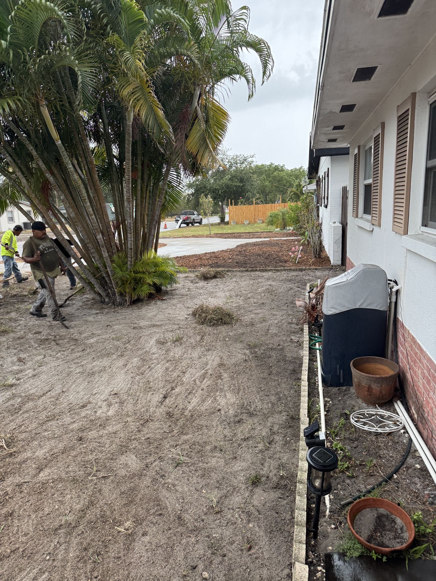 St.Augustine Grass SOD