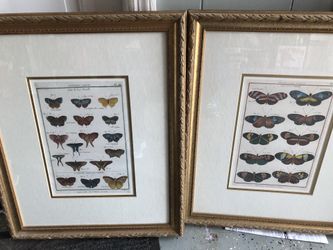 2 framed wall pictures