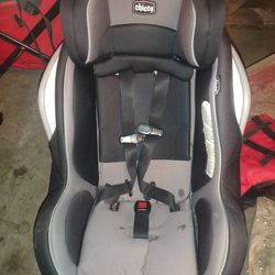 Car Seat