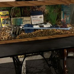 20 Gallon Long Aquarium Set Up