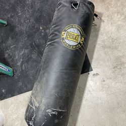 100lb Punching Bag 