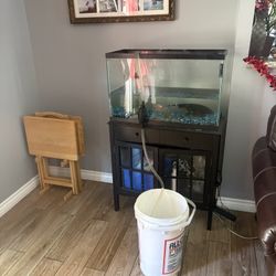 30 Gallon Fish Tank 