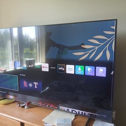 65 Inch Samsung TV 