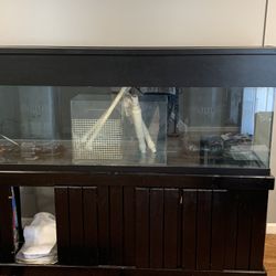 125 Gallon Fish Tank