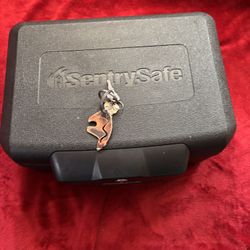 Sentry Safe 