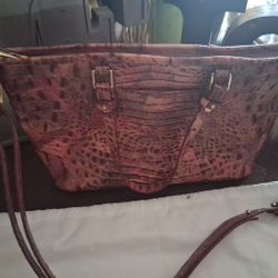 Brahmin 