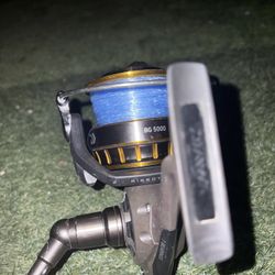 Daiwa Fishing Reel 
