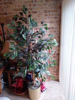 Ornament tree