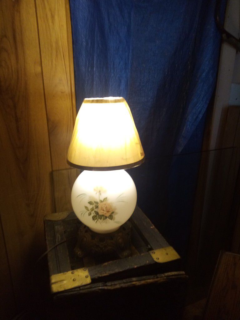 Single Vintage Globe Lamp