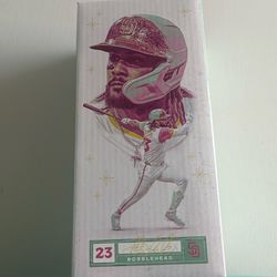 Fernando Tatis Jr and Michael King Bobble Head