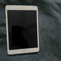 iPad Mini