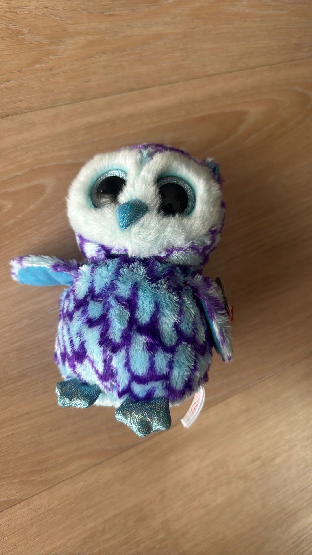 Oscar, the beanie boo with tag on it $30