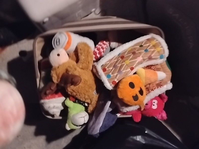 Lot Of  30 Dog Squeaky Toys . Clean Like New