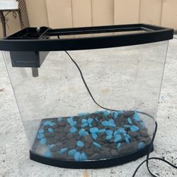 Fish Tank/ Rocks/filters