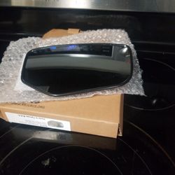 Passenger side  mirror