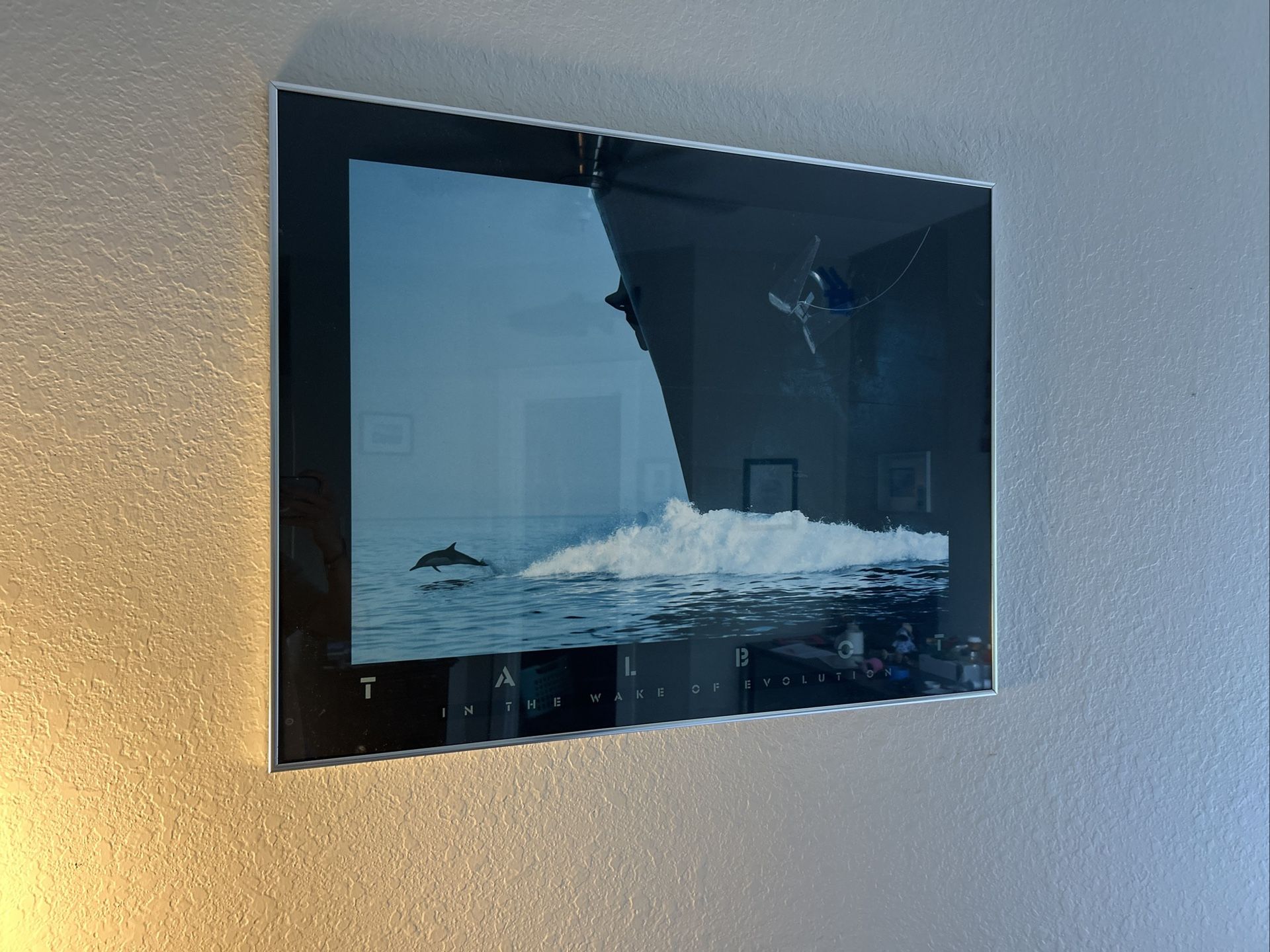 Vintage Bob Talbot framed poster – In the Wake of Evolution