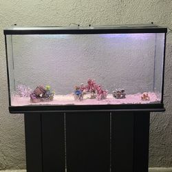 65 Gallon Aquarium 