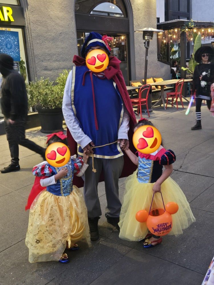 Snow White Prince Adult Costume