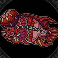 Fish Tank Flower Horn Live Painting 