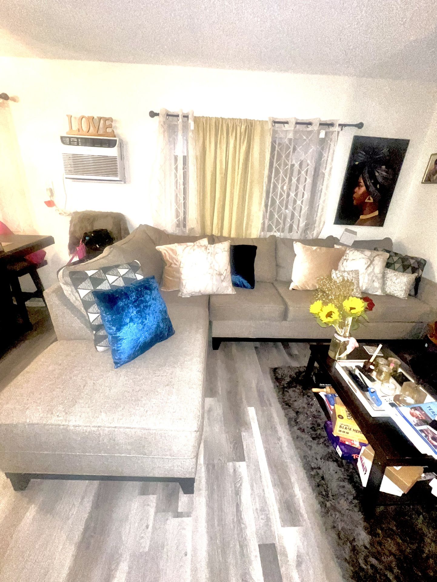 Gray L Sectional couch