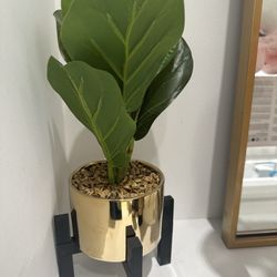 Accessories Tree