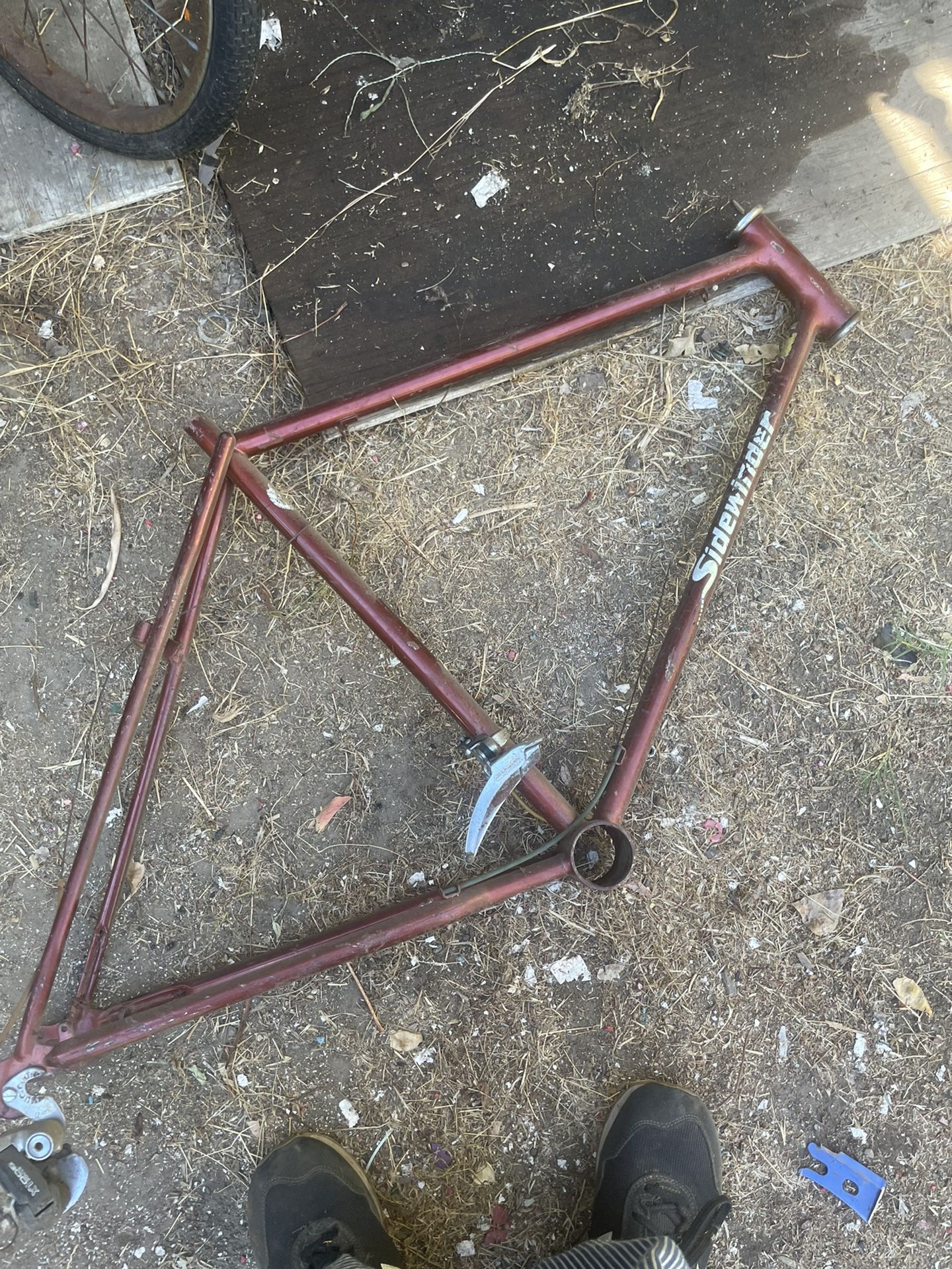 Vintage Schwinn Sidewinder Frame