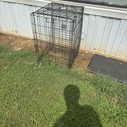 Dog Crate