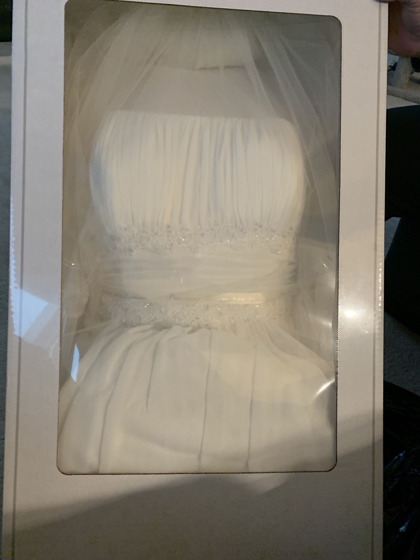 David’s Bridal wedding dress and veil size 18