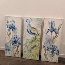 Stretched Canvases 3 piece Wall Decor