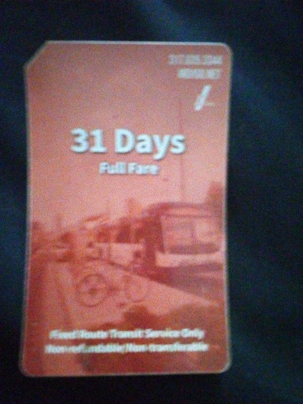 31 All Day Bus Pass