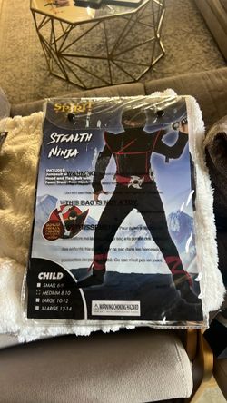 Ninja costume