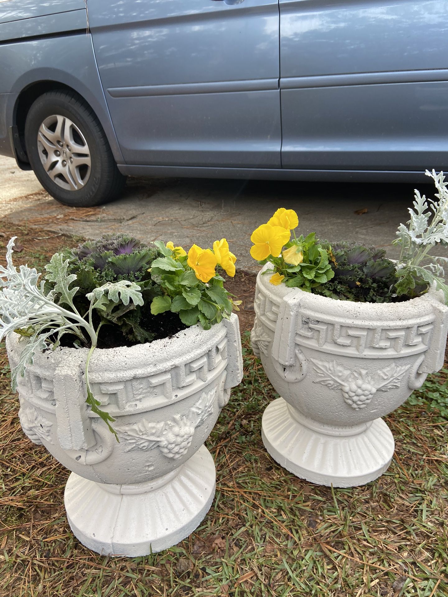 Urns With Winter Flowers