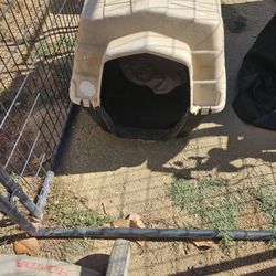 Medium Dog House