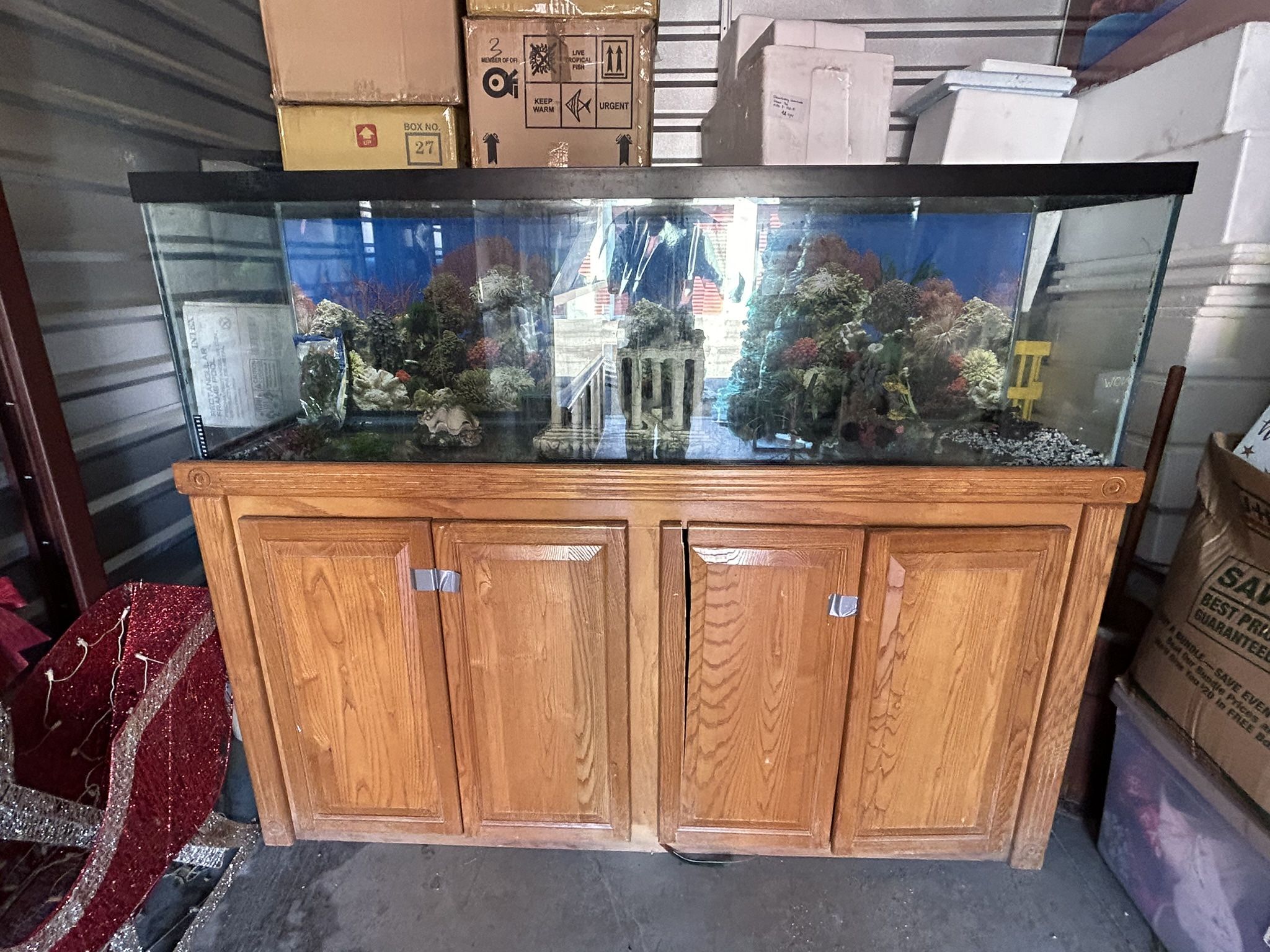 2 Different 125 Gallon Setups